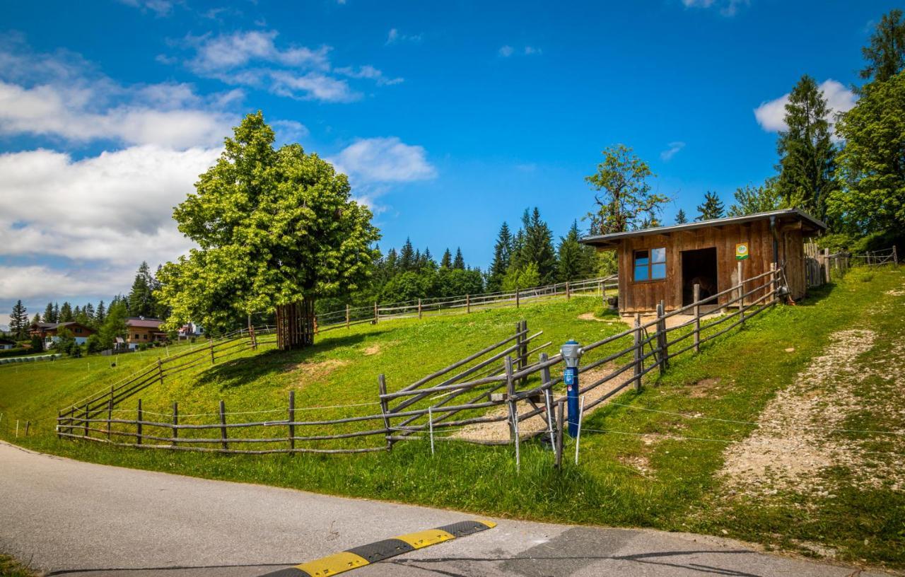 Daarhof Lägenhet Wagrain Exteriör bild