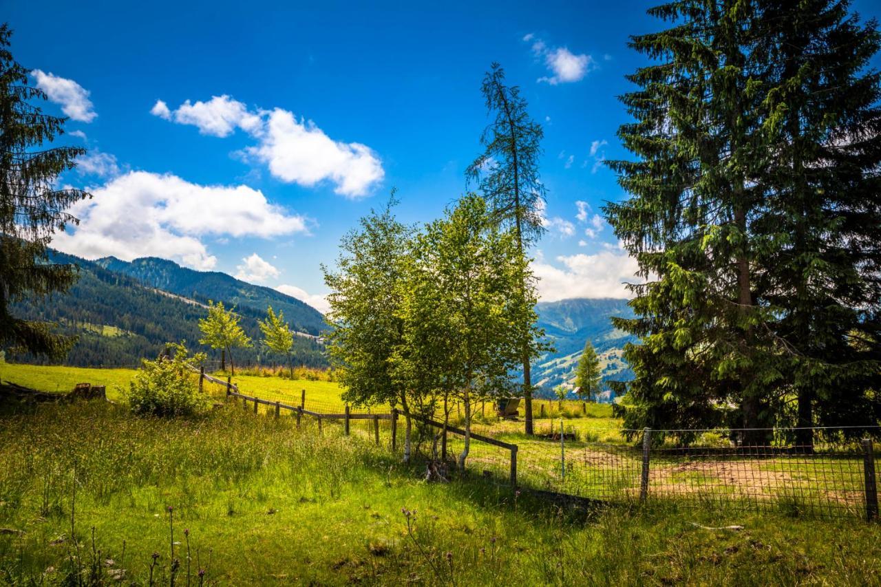 Daarhof Lägenhet Wagrain Exteriör bild